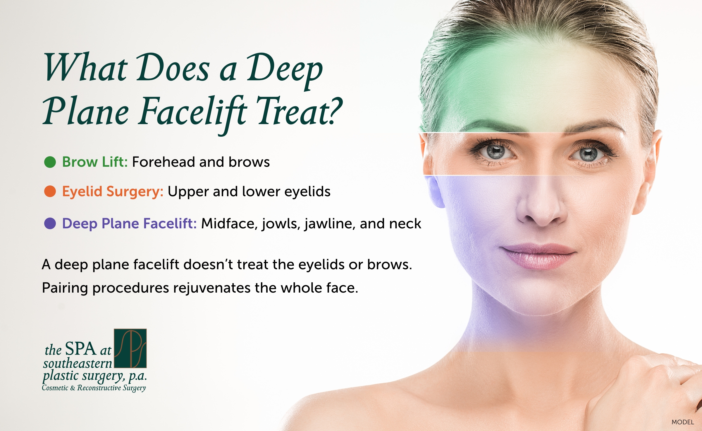 llustration showing that a brow lift treats the forehead and brows, eyelid surgery treats the eyelids, and a deep plane facelift treats the midface, jowls, jawline, and neck.